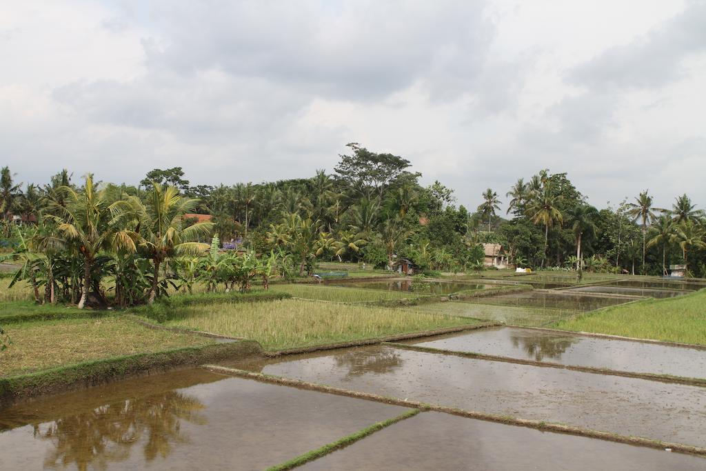 Villa Kami Ubud 외부 사진