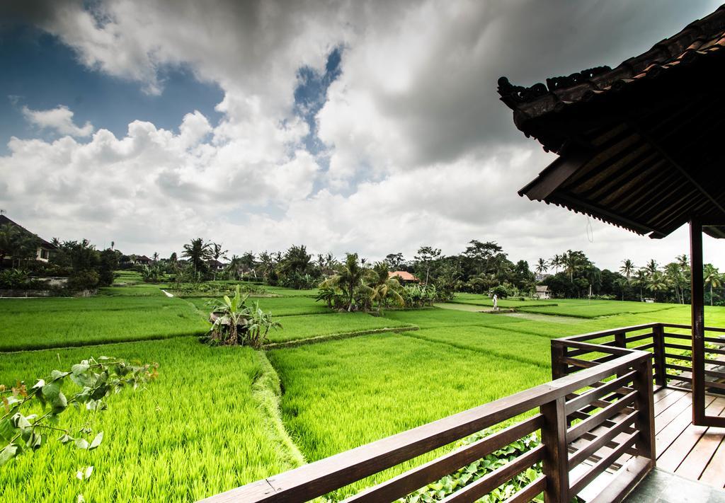 Villa Kami Ubud 외부 사진